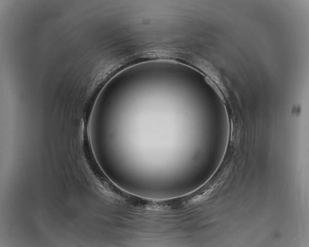 X0000091450109200708161306