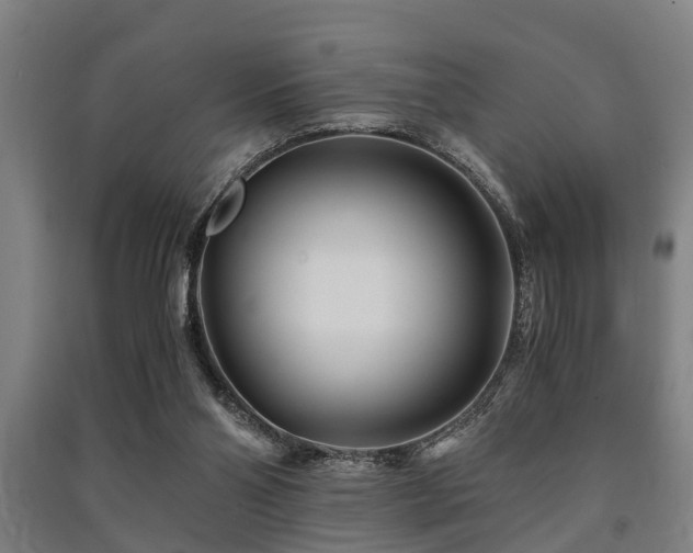 X0000091450110200708161306