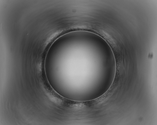 X0000091450112200708161306