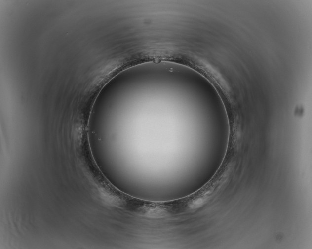 X0000091450113200708161306