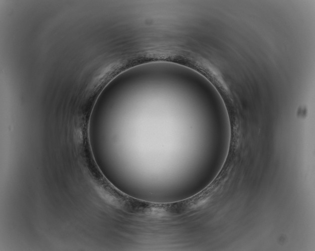 X0000091450114200708161306