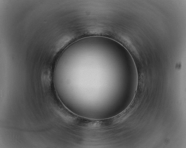 X0000091450116200708161306