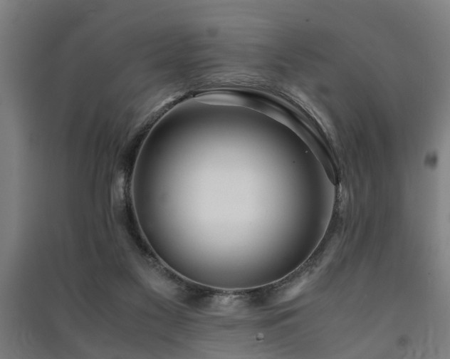 X0000091450117200708161306