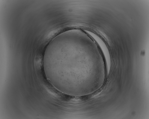 X0000091450119200708161306