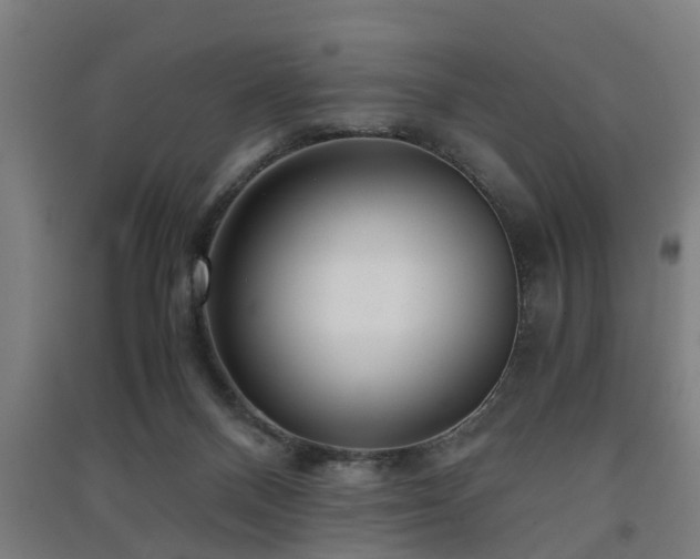 X0000091450120200708161306