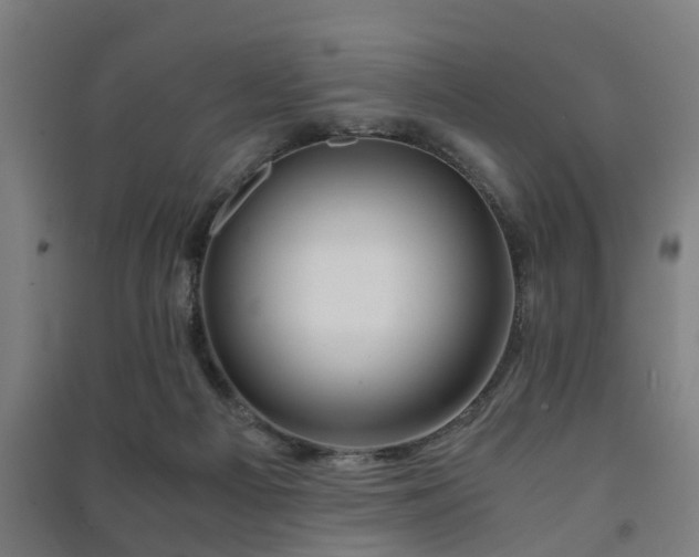 X0000091450121200708161306