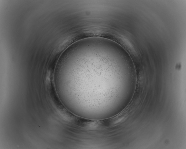 X0000091450122200708161306