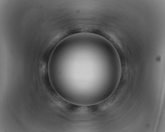 X0000091450123200708161306
