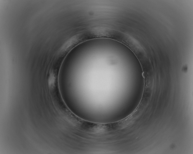 X0000091450124200708161306