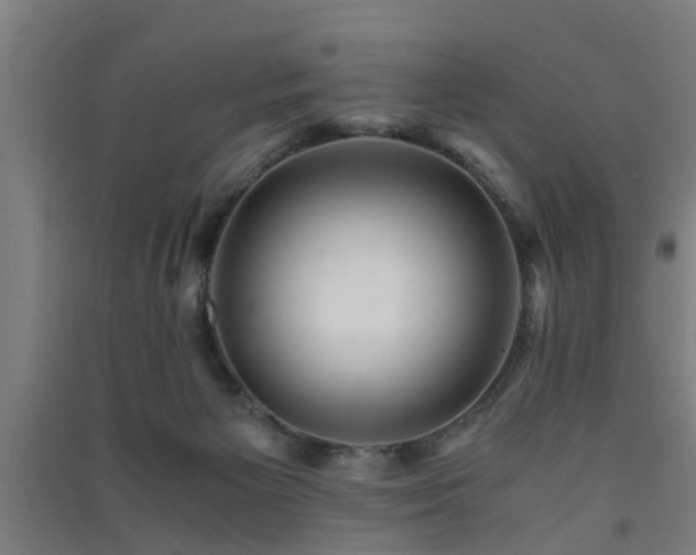 X0000091450125200708161306