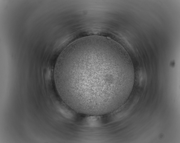 X0000091450126200708161306