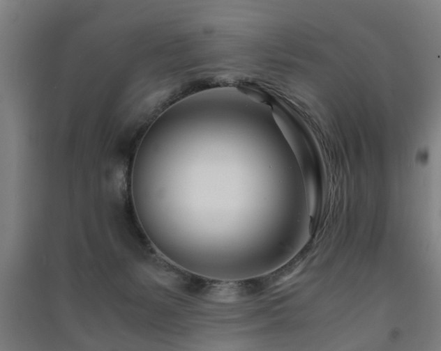 X0000091450127200708161306