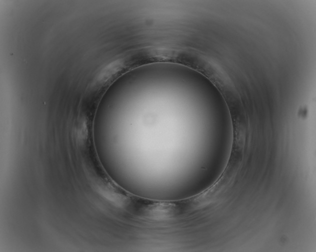 X0000091450128200708161306