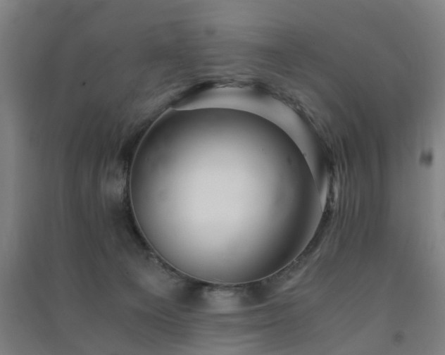 X0000091450129200708161305