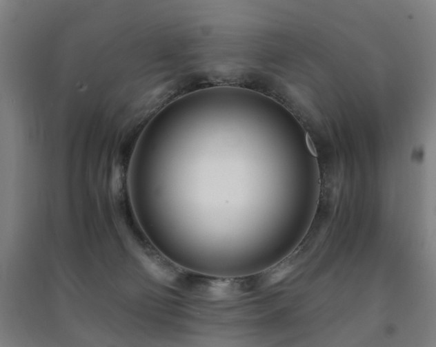 X0000091450130200708161305