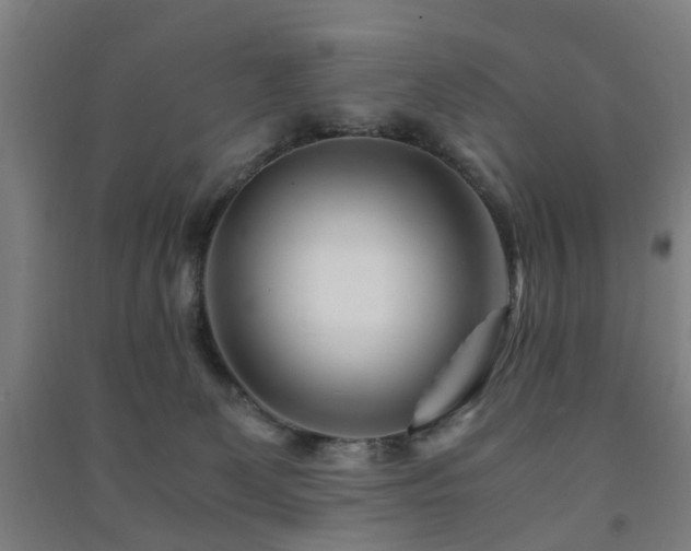 X0000091450131200708161305