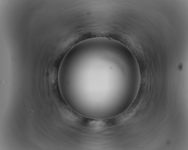 X0000091450133200708161305