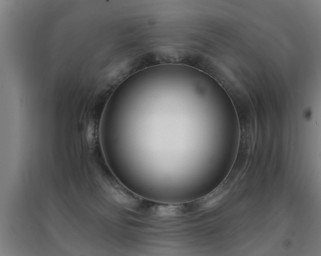 X0000091450134200708161305