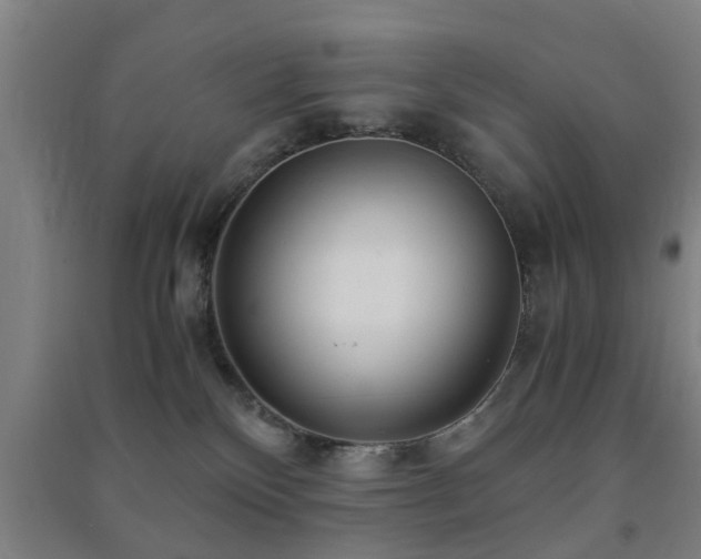 X0000091450136200708161305