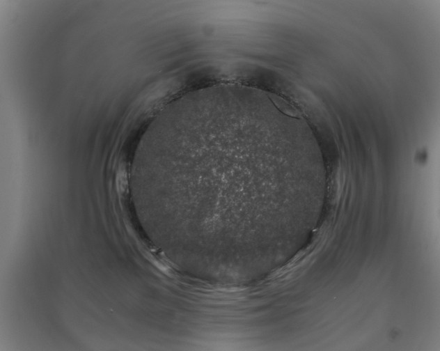 X0000091450137200708161305