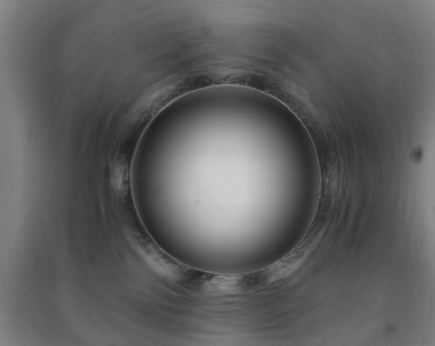 X0000091450138200708161305