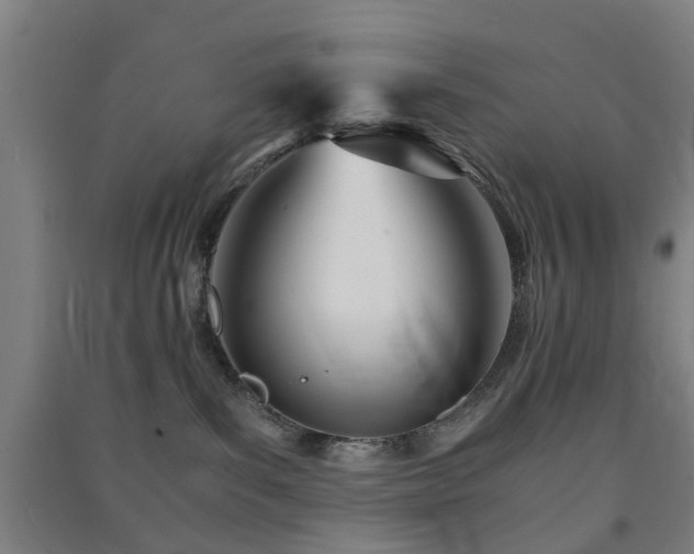 X0000091450139200708161305