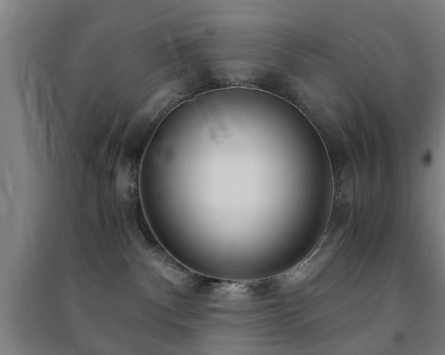 X0000091450140200708161305