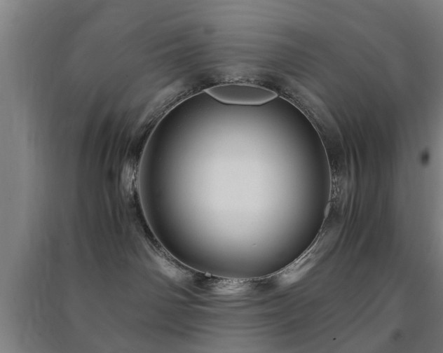 X0000091450142200708161305