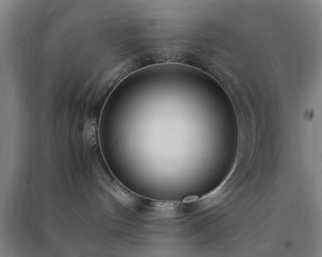 X0000091450144200708161305