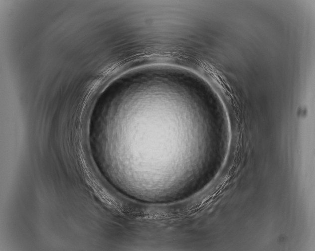 X0000091450145200708161305