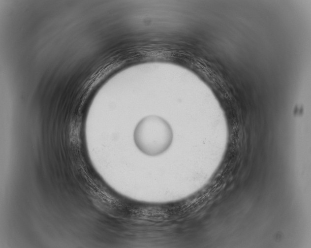 X0000091450146200708161305