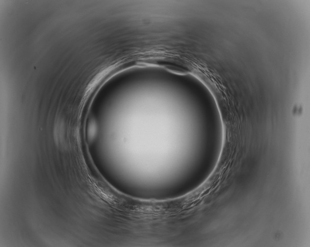 X0000091450147200708161305