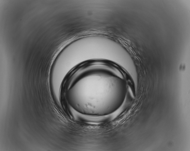 X0000091450148200708161305