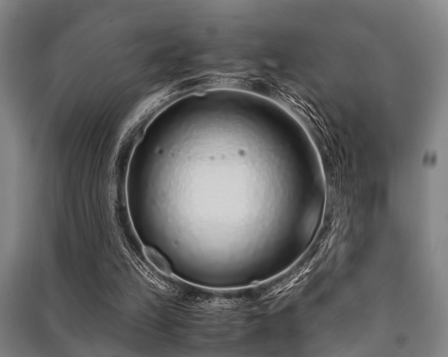 X0000091450149200708161305