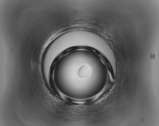 X0000091450150200708161305