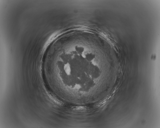 X0000091450151200708161305