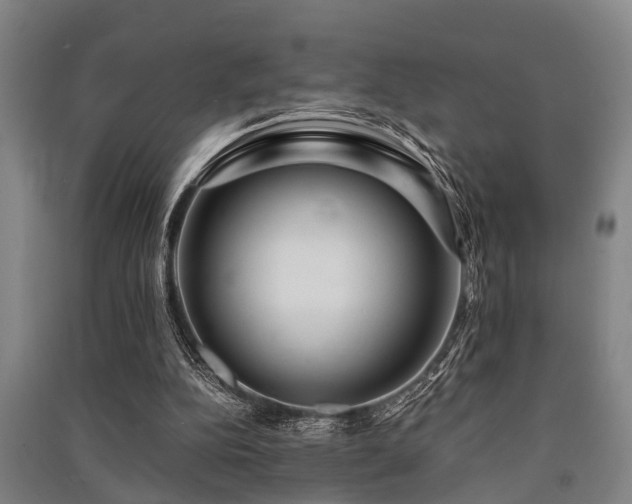 X0000091450152200708161305