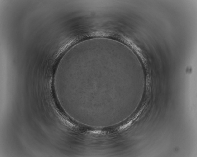 X0000091450153200708161305