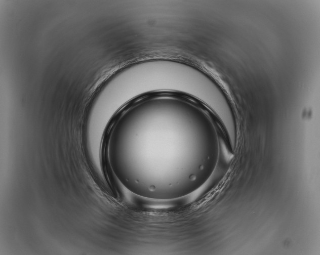 X0000091450154200708161305