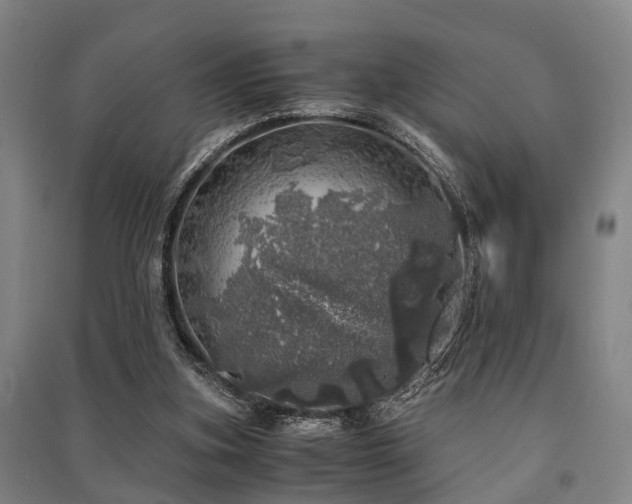 X0000091450155200708161305