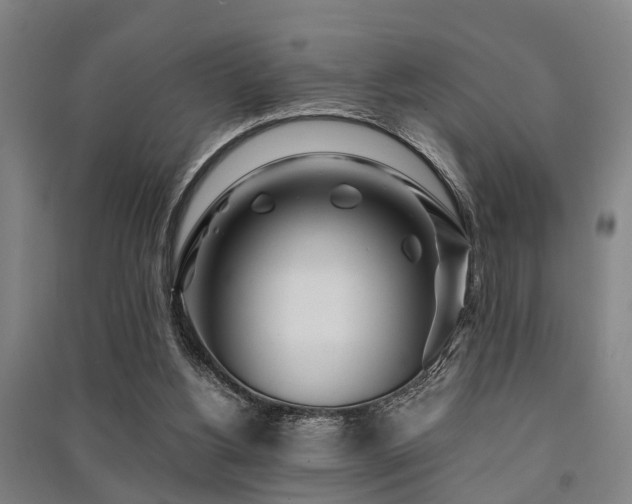X0000091450156200708161305