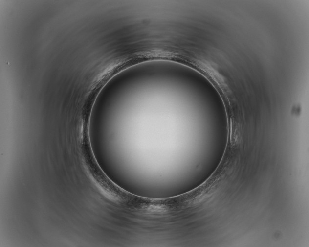 X0000091450157200708161305