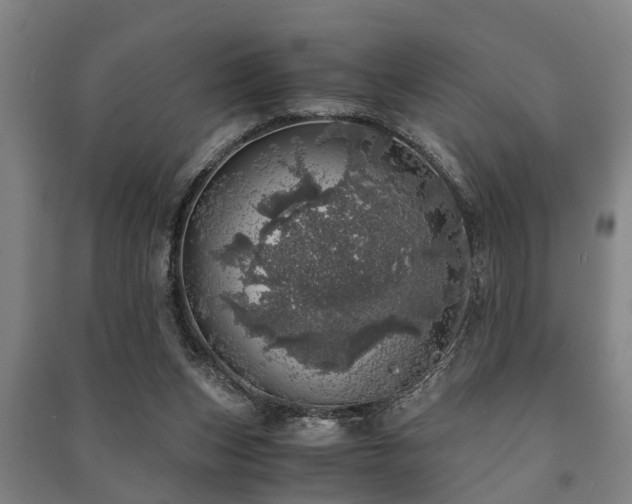 X0000091450159200708161305