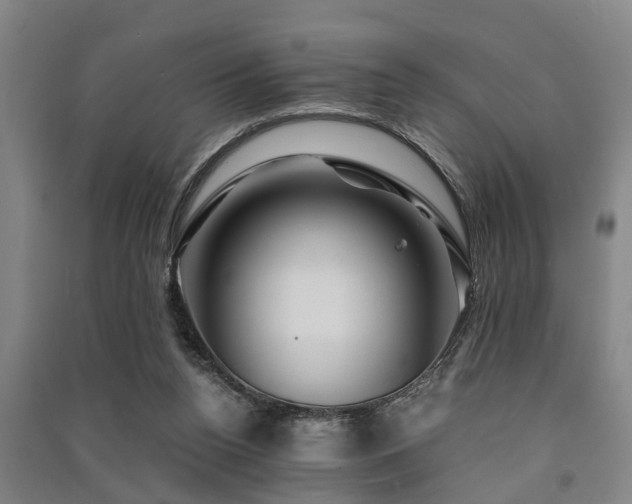 X0000091450160200708161305