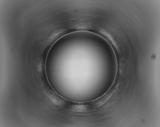 X0000091450161200708161305