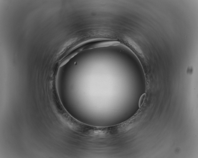 X0000091450163200708161305