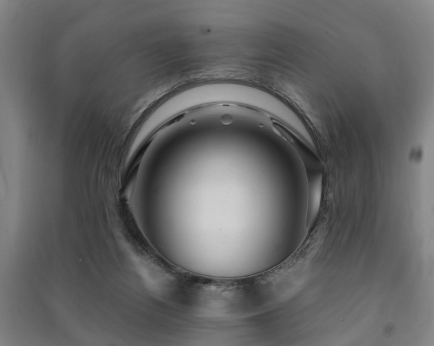 X0000091450164200708161305