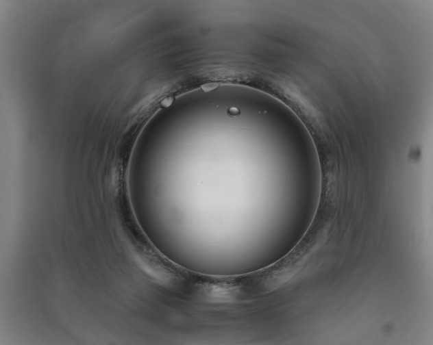 X0000091450165200708161305