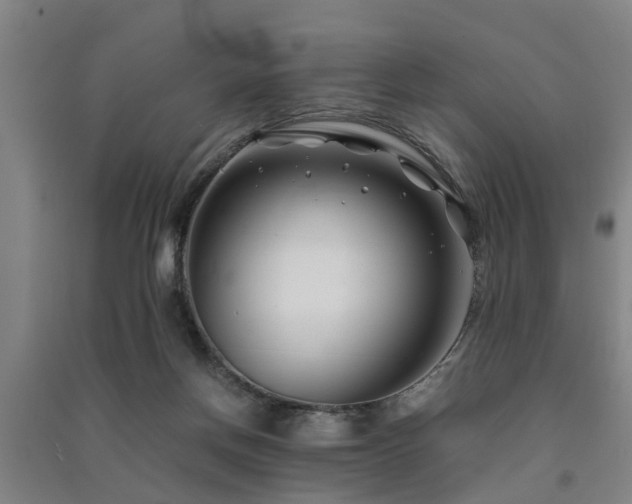 X0000091450166200708161305