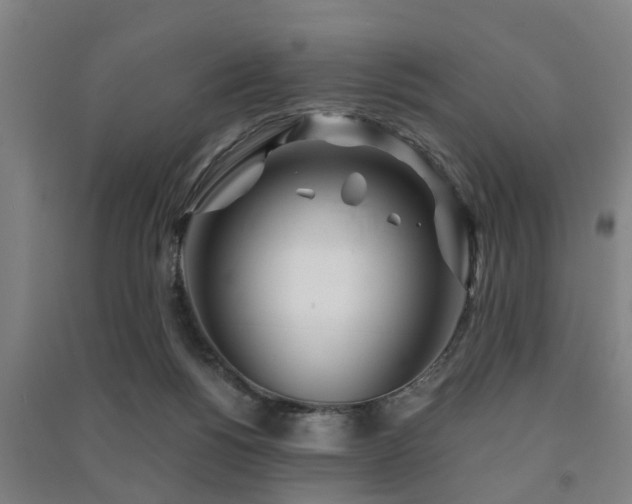 X0000091450168200708161305